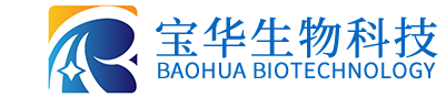 开云线上登录平台入口-开云（中国）
